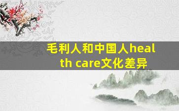 毛利人和中国人health care文化差异